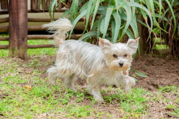Thomasville Wilderness Ngoại thất bức ảnh
